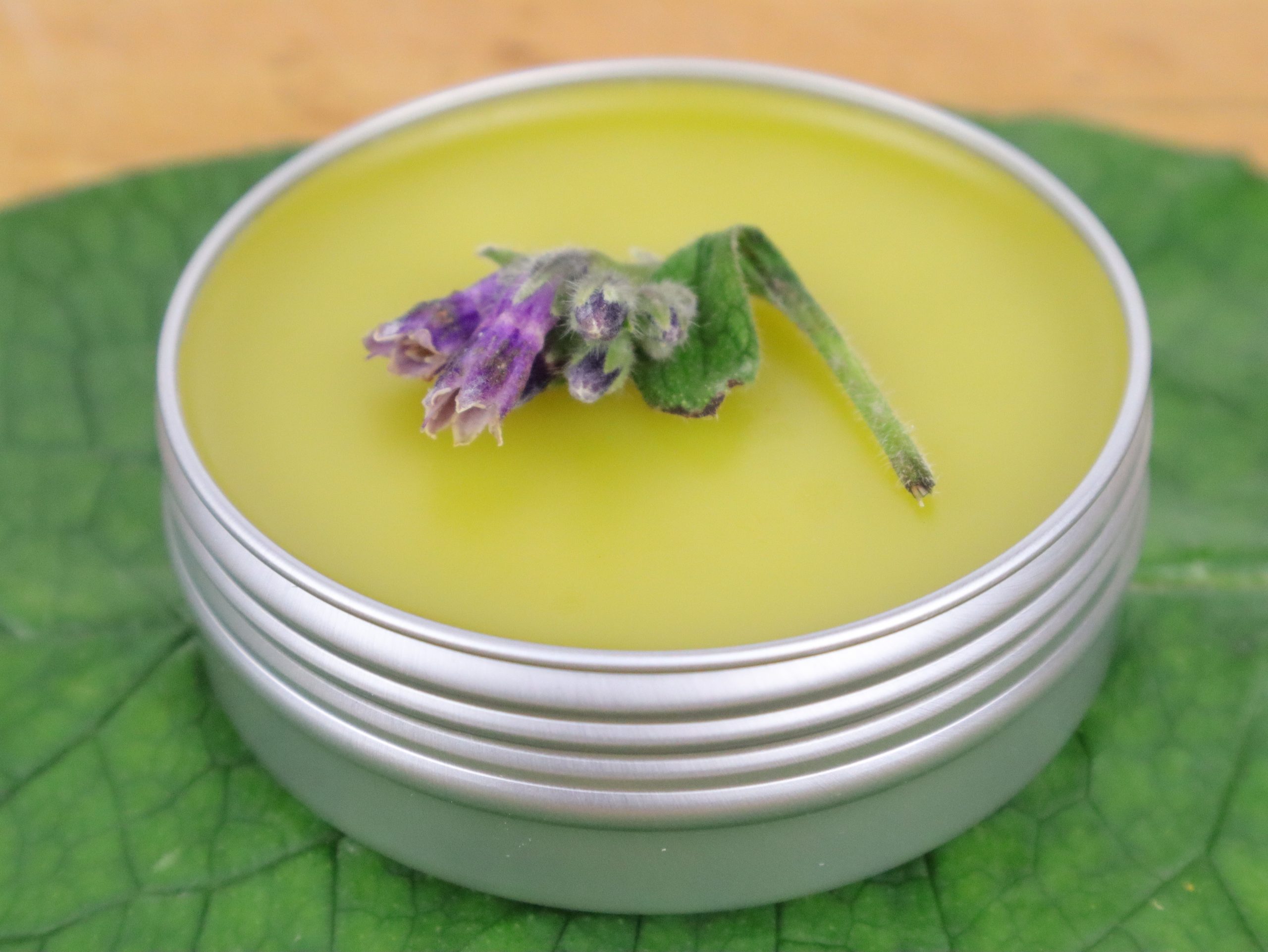 tin of comfrey salve sitting on a comfrey leaf with a purple blossom on top